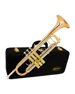 Trompete Sib Campana Gold Brass Bronze Hoyden