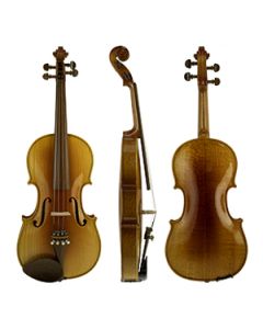 Violino 4/4 Rolim Special Intermediário Gold Alto Brilho c/ Estojo e Acessórios
